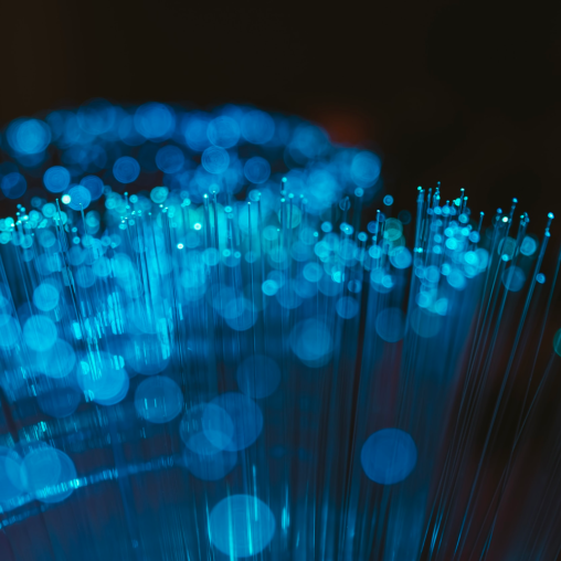 De meerwaarde van het netwerk